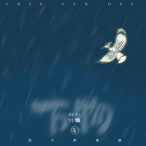 少妇口述玌伦经过视频
