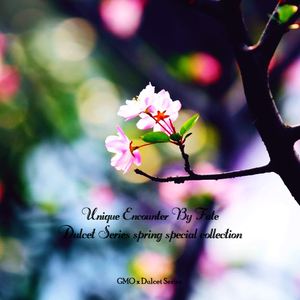 少妇口述玌伦经过视频
