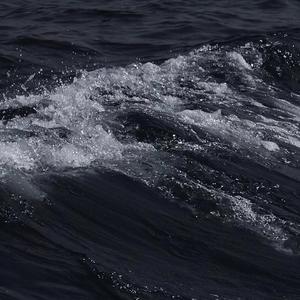 少妇口述玌伦经过视频
