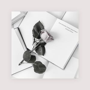 少妇口述玌伦经过视频
